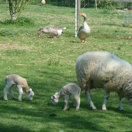 Le Champ Du Coq Tatil Evi *