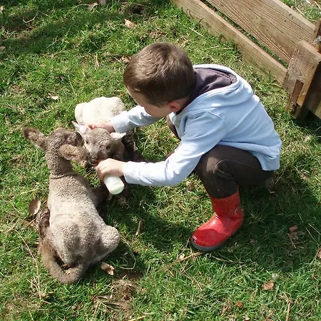 Tatil Evi Le Champ Du Coq *